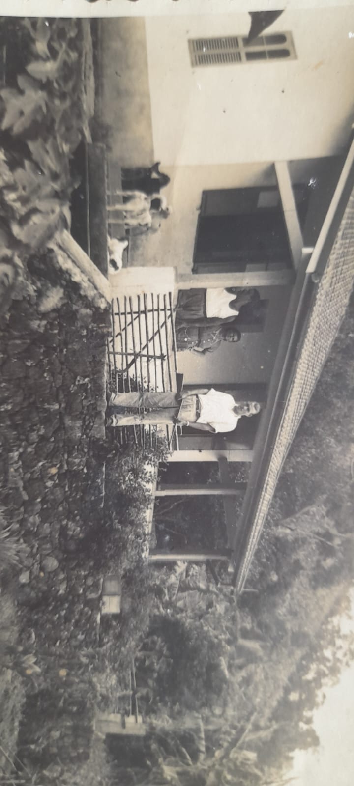 WhatsApp Image 2023-12-04 at 08.54.49.jpeg