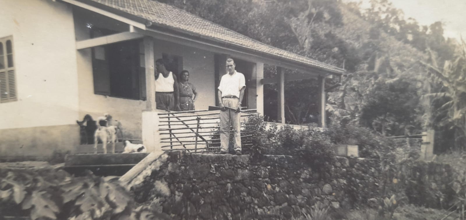 WhatsApp Image 2024-01-03 at 14.48.58.jpeg