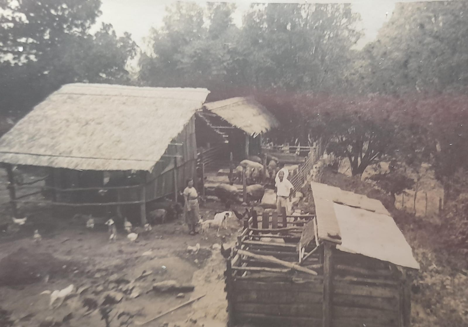 WhatsApp Image 2024-01-03 at 14.49.00.jpeg