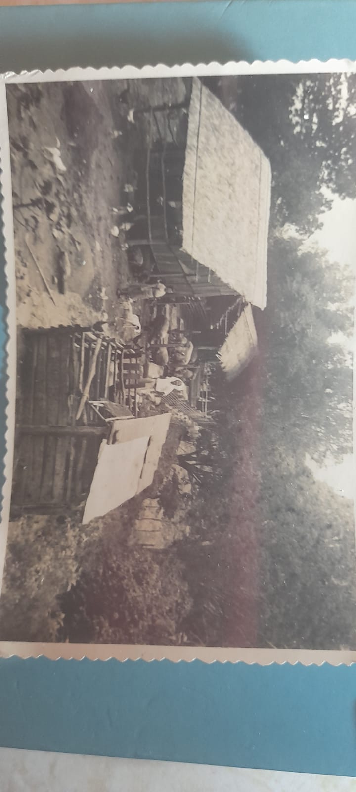 WhatsApp Image 2023-12-04 at 08.54.51.jpeg